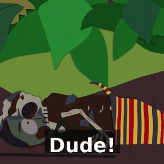 Dude!