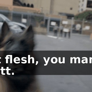dd7d1ba0-c5e8-4c86-93fe-f5b44907b5a9.gif