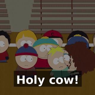 Holy cow!