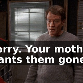 Sorry. Your mother wants them gone.