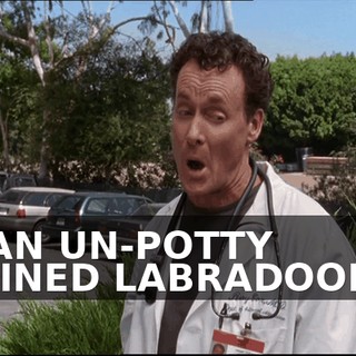 ddaa1a9a-3ee6-405b-a7c4-10d7a4b5e339.gif
