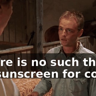 There is no such thing as sunscreen for cows.