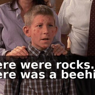 There were rocks. There was a beehive.