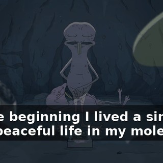 in the beginning I lived a simple and peaceful life in my mole hole