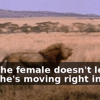 de2ee429-bed1-4d2d-b7d8-c0df3d10244d.gif