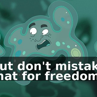 de5644a2-233e-43d0-b977-423635d081e4.gif