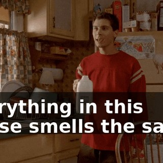 Everything in this house smells the same.