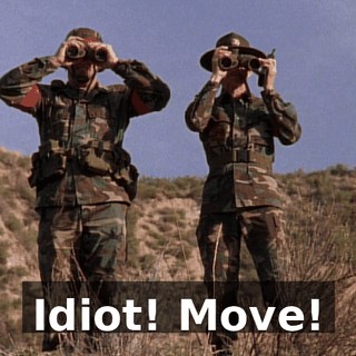 Idiot! Move!
