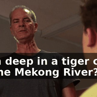 chin deep in a tiger cage in the Mekong River?