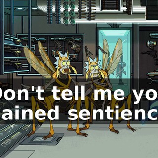 def774f1-3b4b-451e-a746-566762d3614f.gif