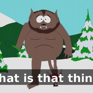 What is that thing?