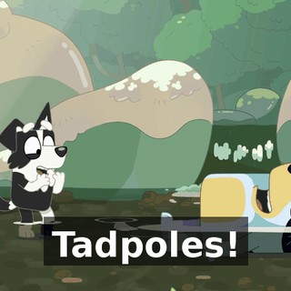 df6947c1-5d87-43d5-b689-95ac3ae50bb3.gif
