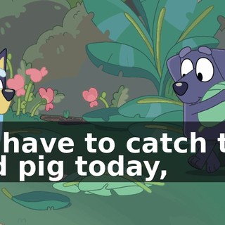df785678-0379-4d4f-afcf-0b7d45b29909.gif