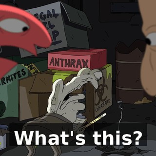 What's this?