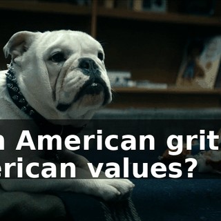 dfdfd631-d013-46af-b004-875dd7c306f0.gif