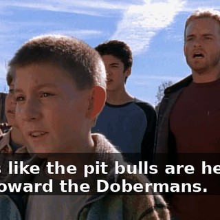 Looks like the pit bulls are herding him toward the Dobermans.