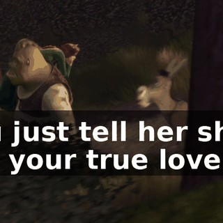 You just tell her she's not your true love.
