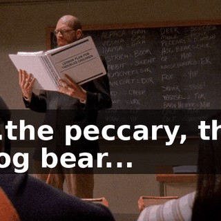 ...the peccary, the hog bear...