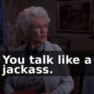 You talk like a jackass.