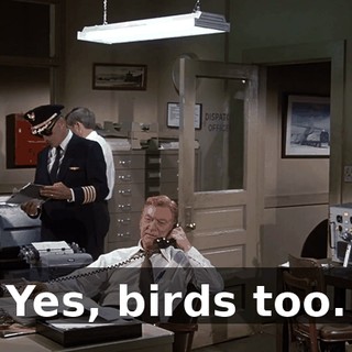 e0522f0d-b088-4dd6-af4d-8cdb9b234603.gif