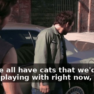 Sir, we all have cats that we'd like to be playing with right now, okay?