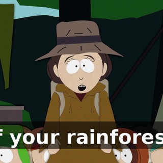 of your rainforest.