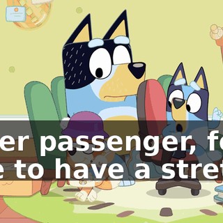 Other passenger, feel free to have a stretch!