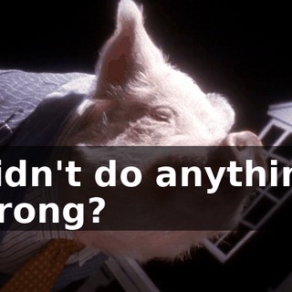 Didn't do anything wrong?