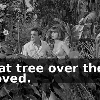 e0f527aa-9fc4-49a6-8f08-c17b63f4c6a6.gif