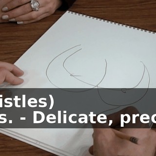 e10e8251-e5f2-4317-9a5a-486b17944692.gif