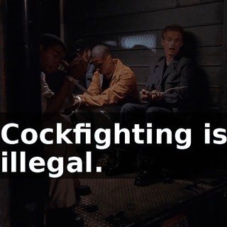 Cockfighting is illegal.