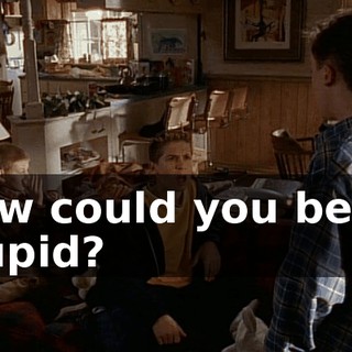 How could you be so stupid?