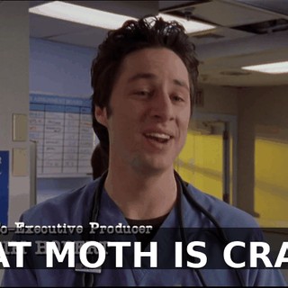 e183ab95-8b17-4361-9fc5-bbc4ed2a8f21.gif