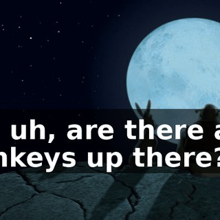 So, uh, are there any donkeys up there?