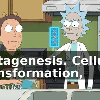 e199e18e-1a3f-4961-8440-f1a98acb6838.gif