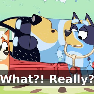 What?! Really?