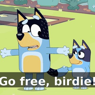 Go free, birdie!