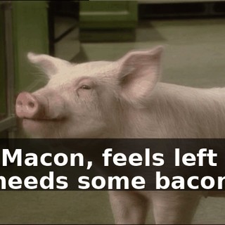 e27605e2-67e1-4c3e-a2cb-99cb8c67ff8a.gif