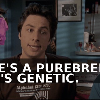 e27a0cd2-697e-42b5-8ce6-58711e72f989.gif