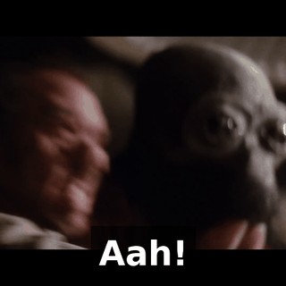e28e0e4e-a2ca-48d2-9fda-a3f4ebd6c535.gif