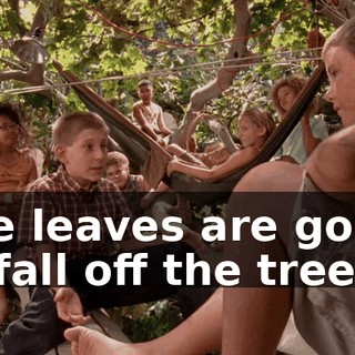 The leaves are going to fall off the trees.