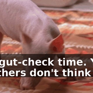 It's gut-check time. Your brothers don't think