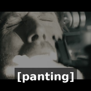 e2da7540-6749-45c6-aa19-d1389bb9aa99.gif