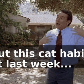 I put this cat habitat out last week...