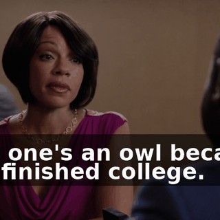 This one's an owl because you finished college.