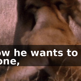 Now he wants to be alone,
