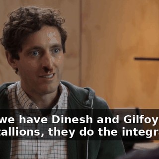Then we have Dinesh and Gilfoyle and the Stallions, they do the integration.