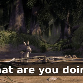 What are you doing?
