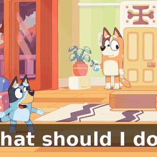 What should I do?!