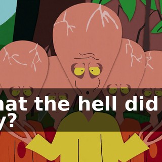 What the hell did he say?